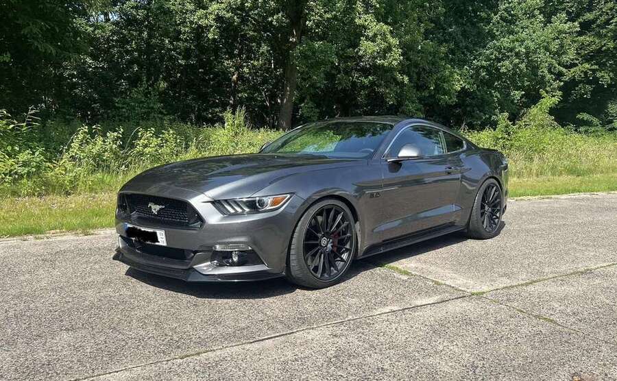 Mustang