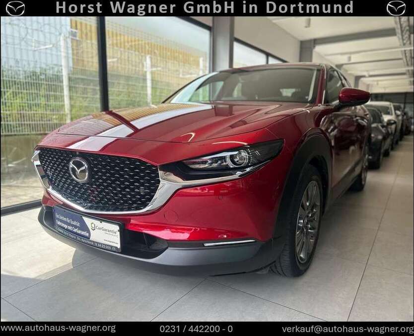 CX-30