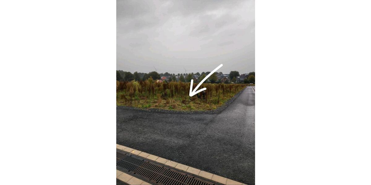 Baugrundstück Haltern Nesberg zimmer