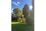 Mehrfamilienhaus, Wohnhaus Bochum Bochum-Nord - 600.000&euro; | Angebot:27254553