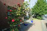Einfamilienhaus Essen Frintrop - 6 Zimmer, 899.000&euro; | Angebot:26841825