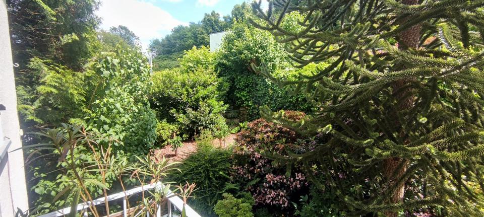 Etagenwohnung Wuppertal Gemarkung Barmen - 3 Zimmer, 85 m&sup2;, 195.000&euro; | Angebot:26822549
