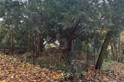 BAUEN NACH IHREN VORSTELLUNGEN zimmer