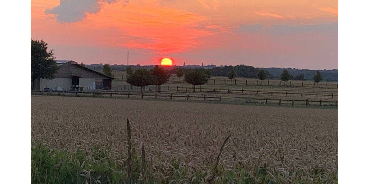 Doppelhaushälfte Witten Stockum - 5 Zimmer, 145 m&sup2;, 565.000&euro; | Angebot:22506375