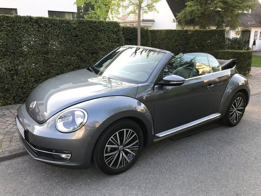 Beetle