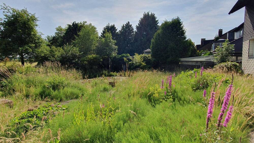 Einfamilienhaus Recklinghausen Speckhorn - 8 Zimmer, 197 m&sup2;, 570.000&euro; | Angebot:25661194