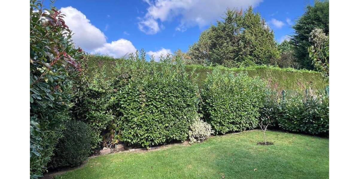 Doppelhaushälfte Haltern am See Haltern - 8 Zimmer, 201 m&sup2;, 625.000&euro; | Angebot:25663610