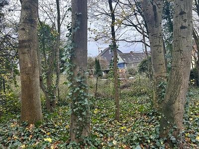 RUHIG UND IDYLLISCH FÜR NATURLIEBHABER zimmer