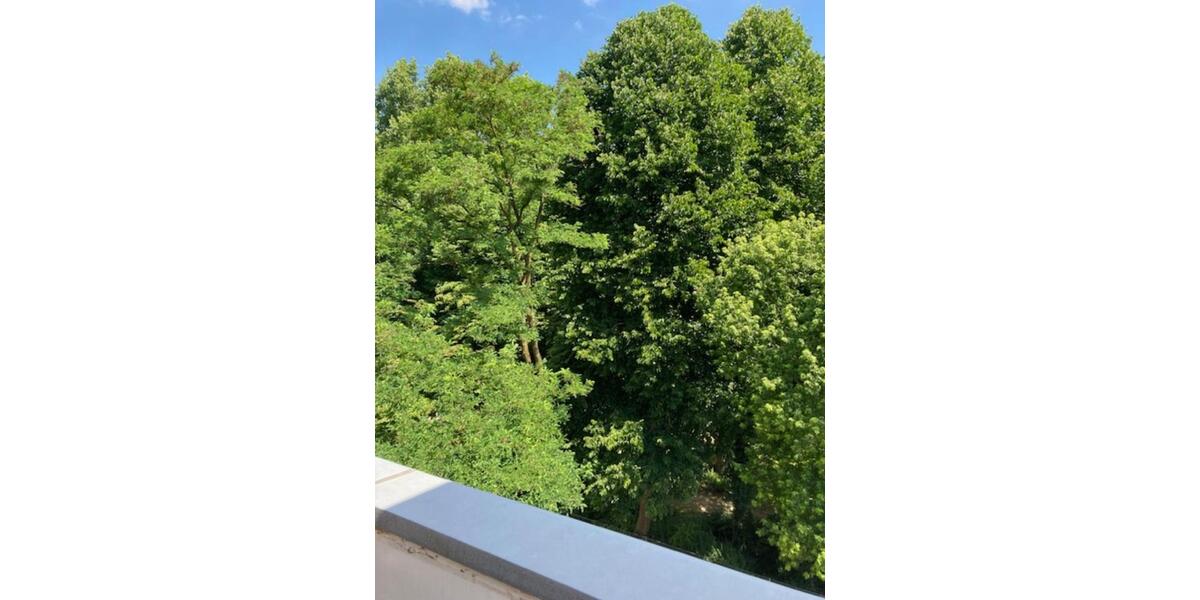 1-2 Zimmer-Wohnung in exponierter Lage mit grosser Terrasse 1 zimmer