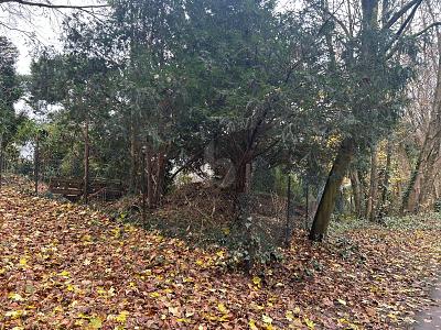 BAUEN NACH IHREN VORSTELLUNGEN - Grundstück Bochum Bochum-Nord | Angebot:25025217