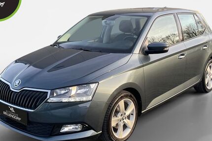 Skoda Fabia 10.011 km 14.470 &euro; Bottrop 46244