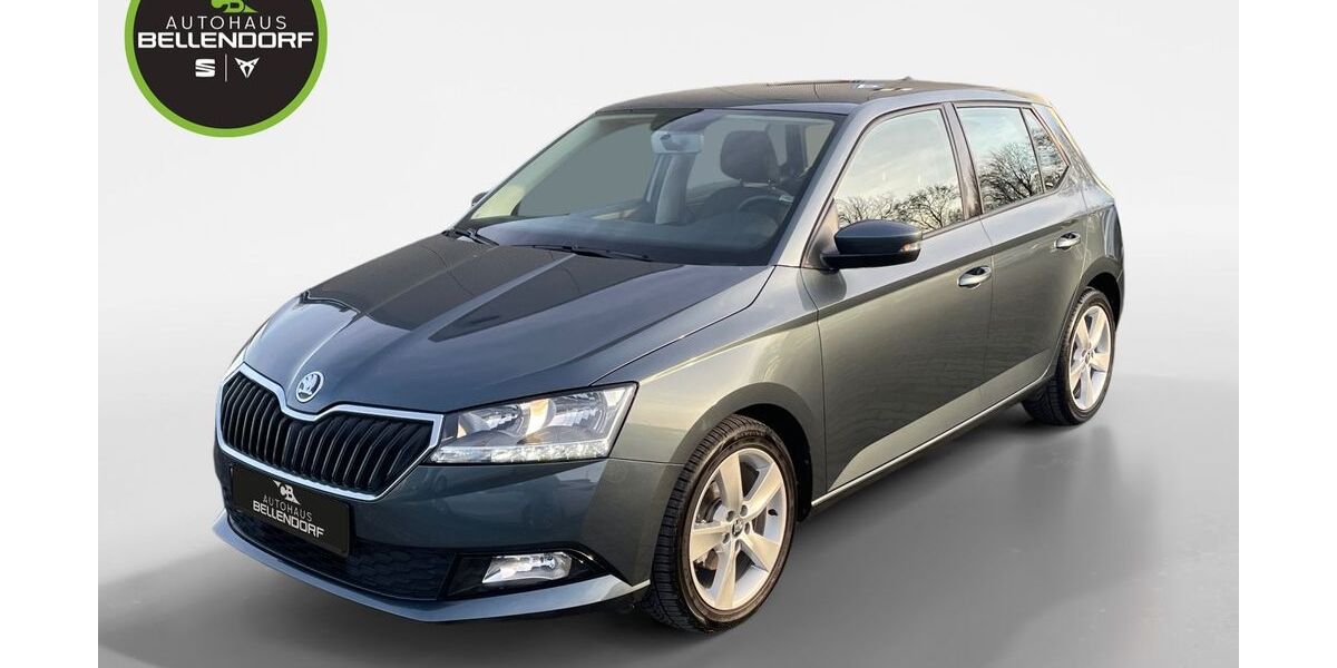 Skoda Fabia 10.011 km 14.470 &euro; Bottrop 46244
