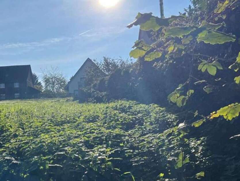 Grundstück zu verkaufen in Dortmund 150.000 € 445 m²