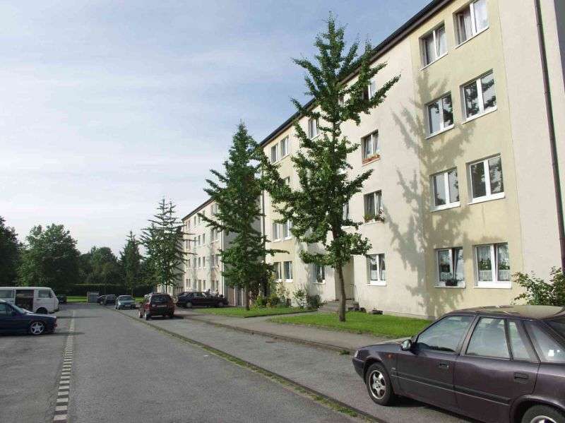 Wohnung zum Mieten in Wuppertal 375 € 45.75 m²