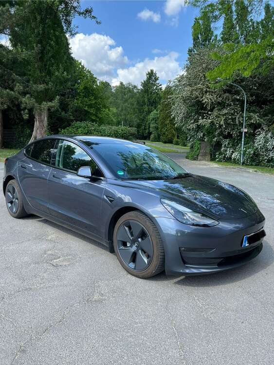 Model 3