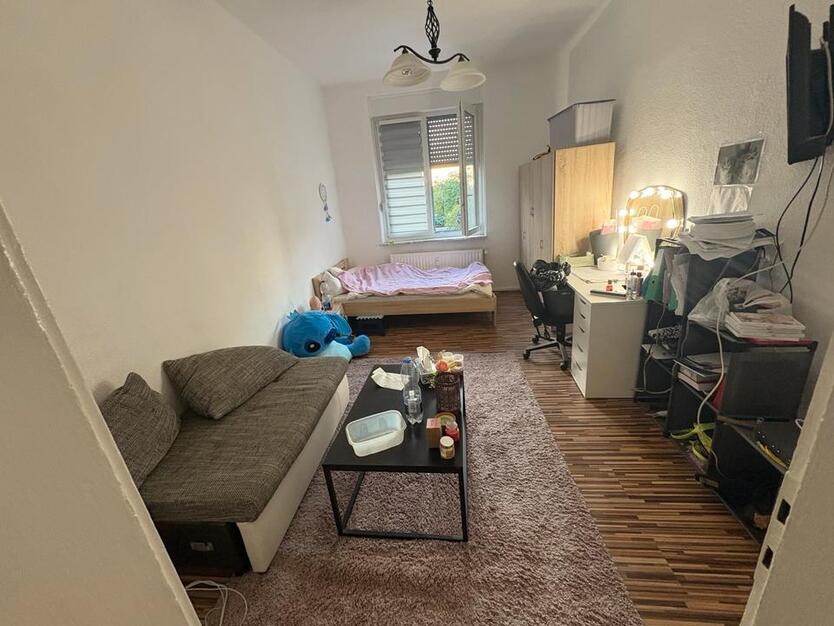 1 Zimmer Wohnung zimmer