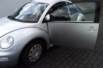 Beetle