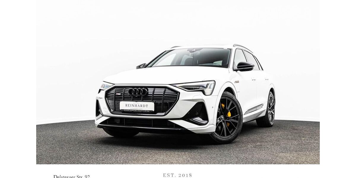 Audi e-tron 53.317 km 36.005 &euro; Hagen 58091