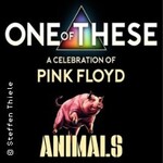 One of These Pink Floyd Tribute Live - a celebration of Pink Floyd Animals