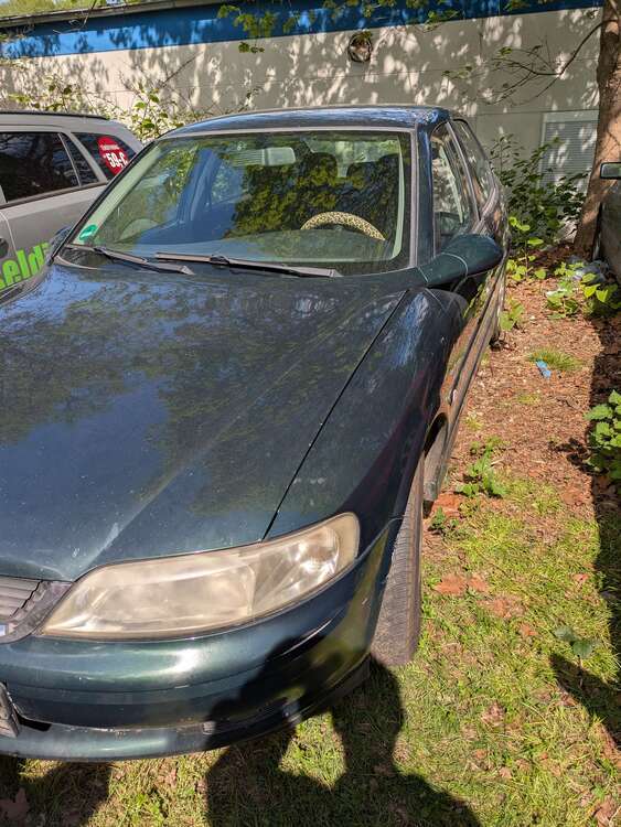 Vectra