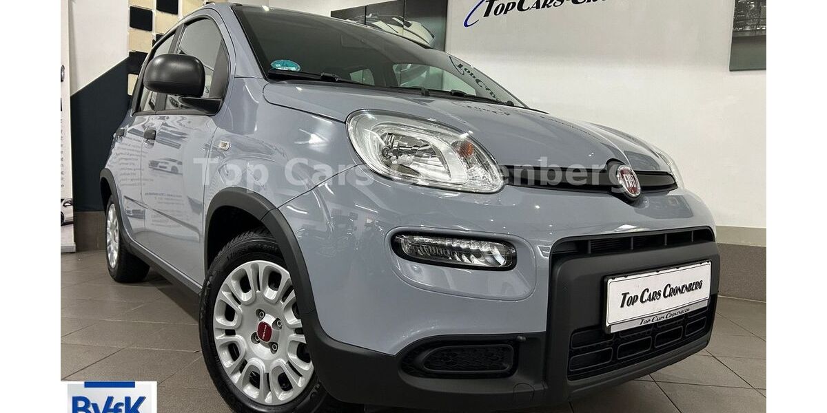 Fiat Panda 14.092 km 12.950 € Wuppertal-Cronenberg 42349