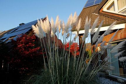 Doppelhaushälfte, Dortmund, Zeitmiete März-Juli 2026, Uni-Nähe 4 zimmer