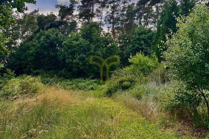 Grundstück zu verkaufen in Langlingen Hohnebostel 188.500 € 1885 m²