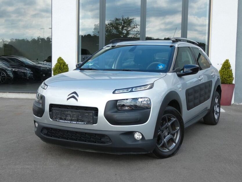 C4 Cactus