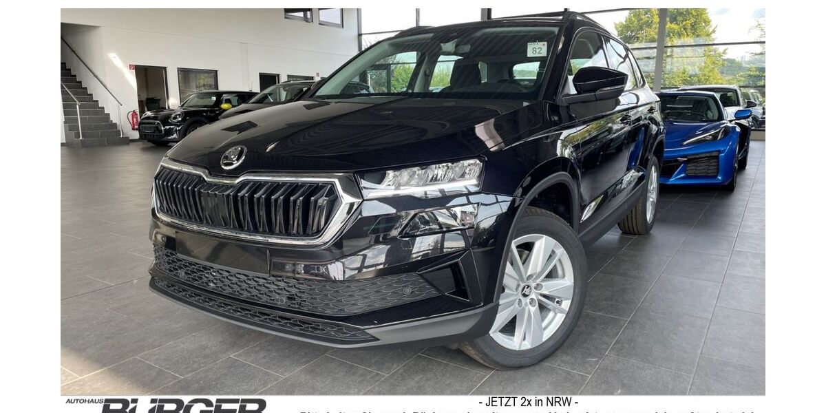 Skoda Karoq 1.100 km 30.970 &euro; Lünen 44536