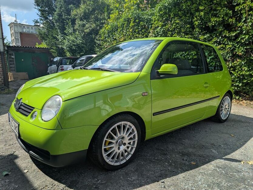 Lupo