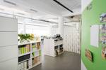 Arbeitsplätze in lichtdurchflutetem Coworking-Space - All-in-Miete