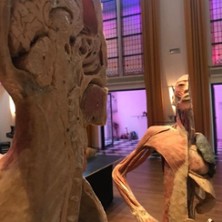Körper Sonderausstellung 29.08.2026 Bürgerhaus Velbert