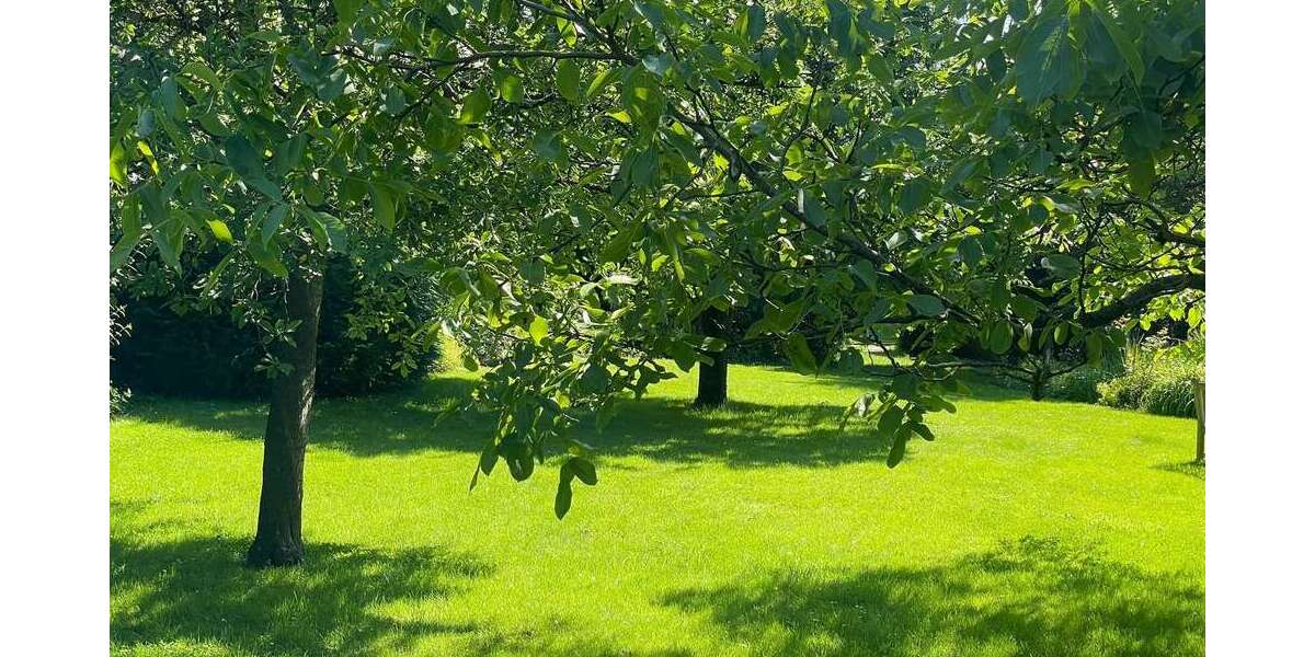 Grundstück Dortmund Hombruch - 490.000&euro; | Angebot:27594489