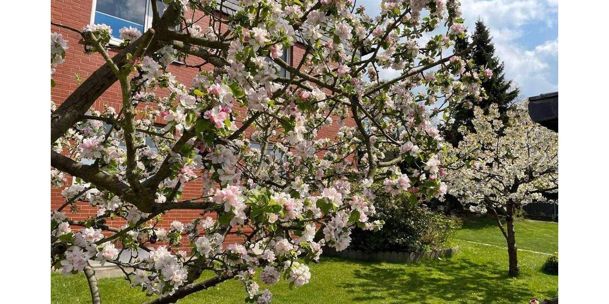 Einfamilienhaus Dortmund Berghofen - 8 Zimmer, 205 m&sup2;, 824.000&euro; | Angebot:25675875