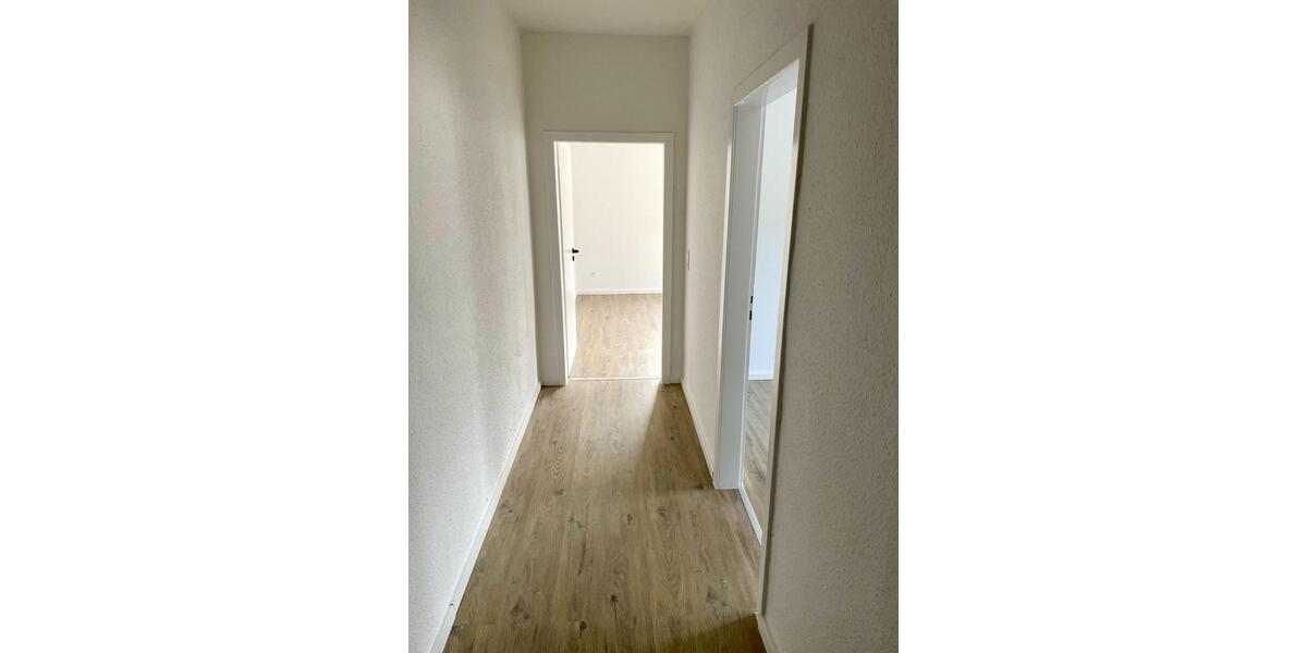 Modernisierte 2 Zimmer Wohnung in sehr zentraler Lage ab 01.02.2026 frei 2 zimmer