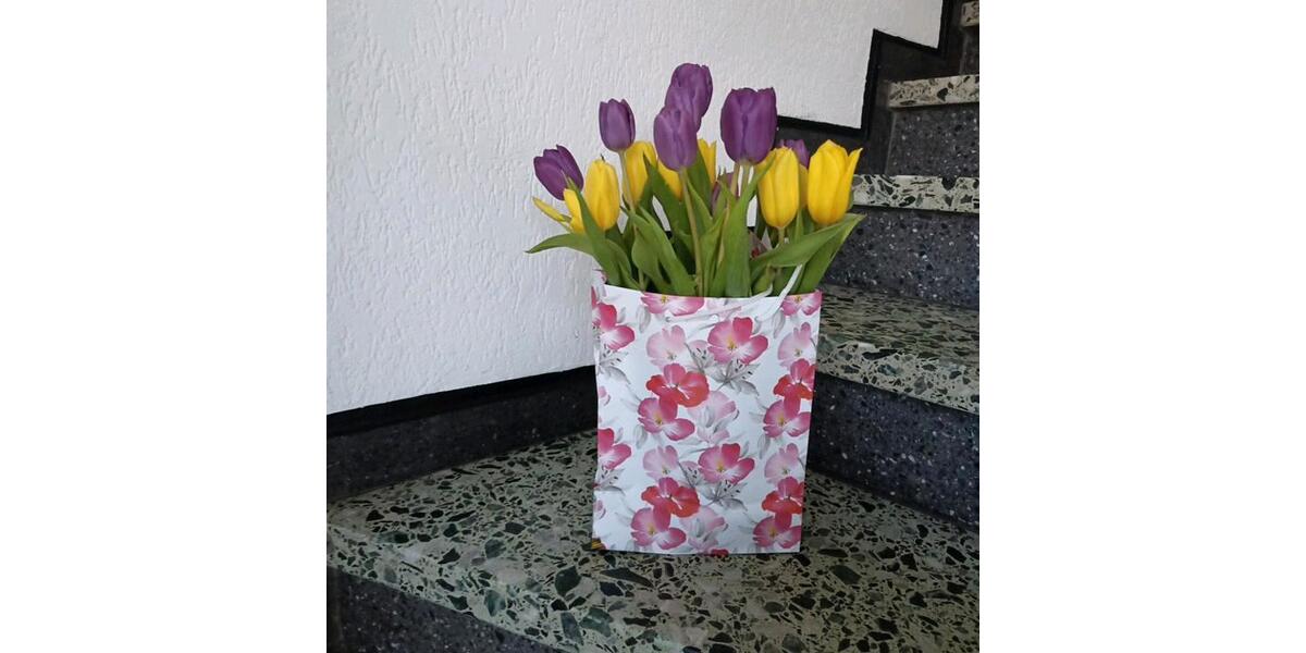 Dachgeschoßwohnung Dorsten - 1 Zimmer, 30 m&sup2;, 535&euro; | Angebot:25259081