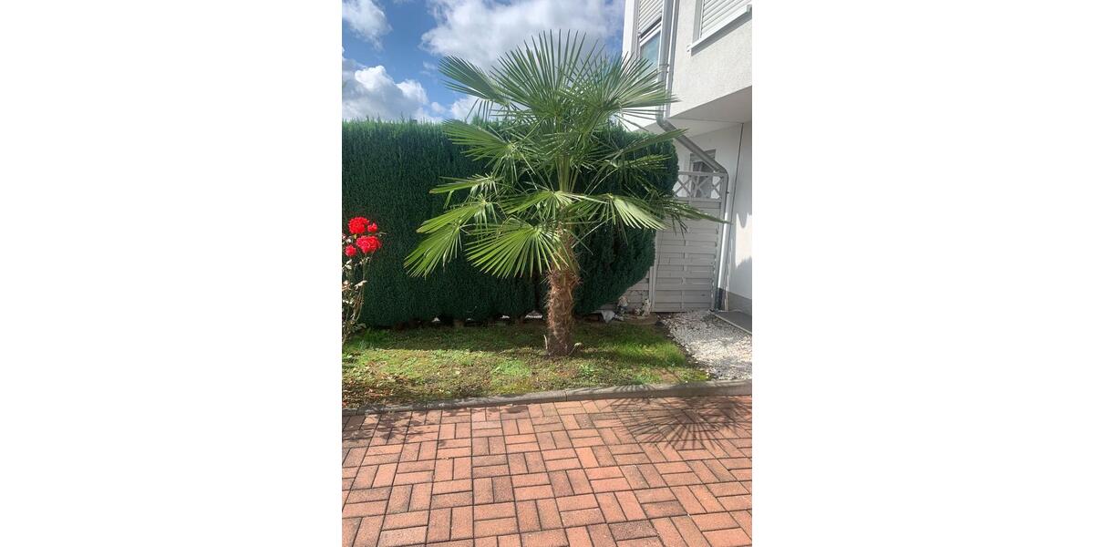 HausDoppelhaushälfte mit Garten, Garage in Witten 5 zimmer