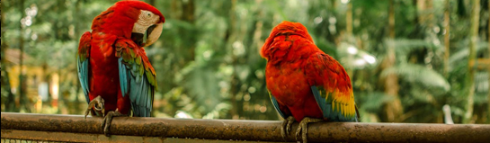 ZOOM Erlebniswelt als Tierwelt-Ziel