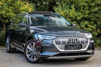 Audi e-tron 128.000 km 22.490 € Unna 59427