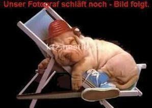 VW Touareg 64.600 km 68.500 &euro; Essen 45134