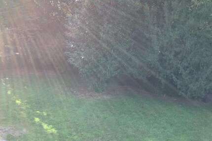 Wohnung zum Mieten in Recklinghausen 599 € 77.86 m² 3 zimmer