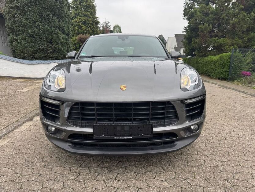 Macan