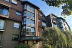 Erdgeschoßwohnung Wuppertal Gemarkung Elberfeld - 1 Zimmer, 40 m&sup2;, 500&euro; | Angebot:26286334