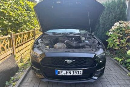 Ford Mustang 66.500 km 19.099 &euro; Marl 45772