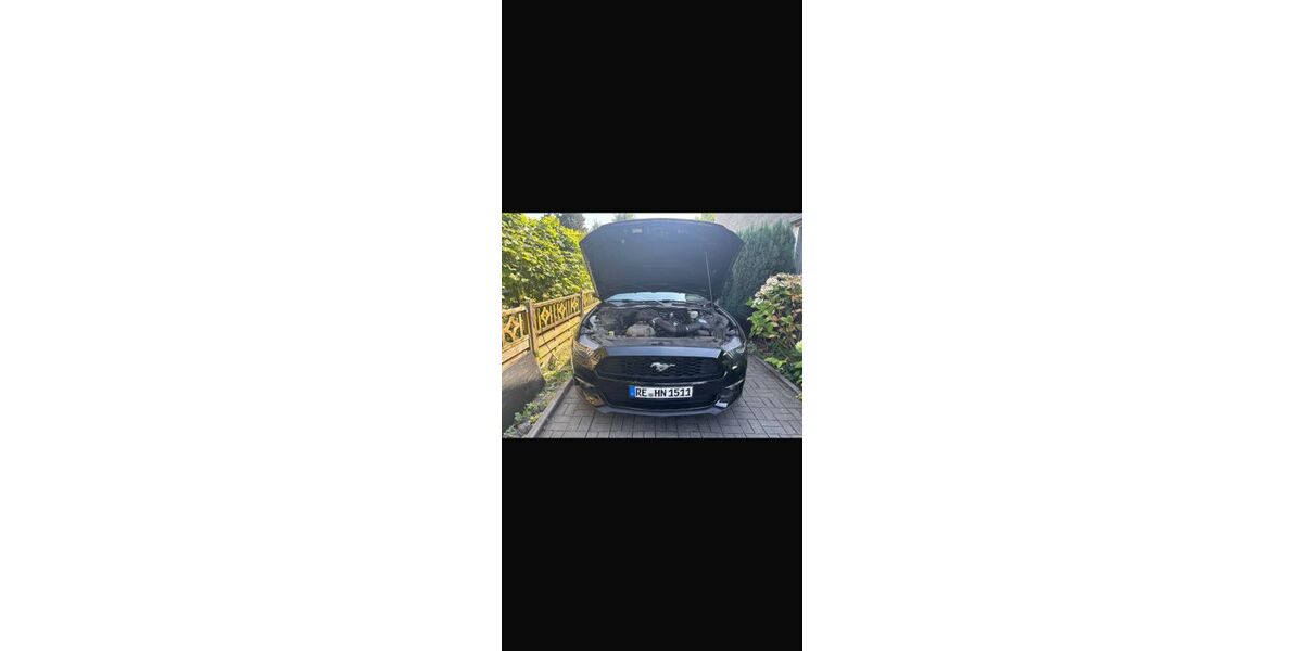 Ford Mustang 66.500 km 19.099 &euro; Marl 45772