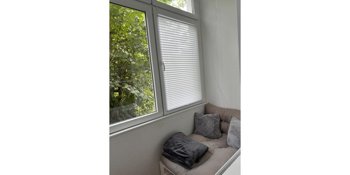 Mietwohnung 1.5 zimmer