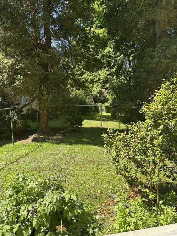 Wohnung zum Mieten in Essen 314,60 € 45.53 m²