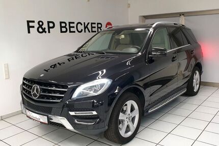 Mercedes ML 250