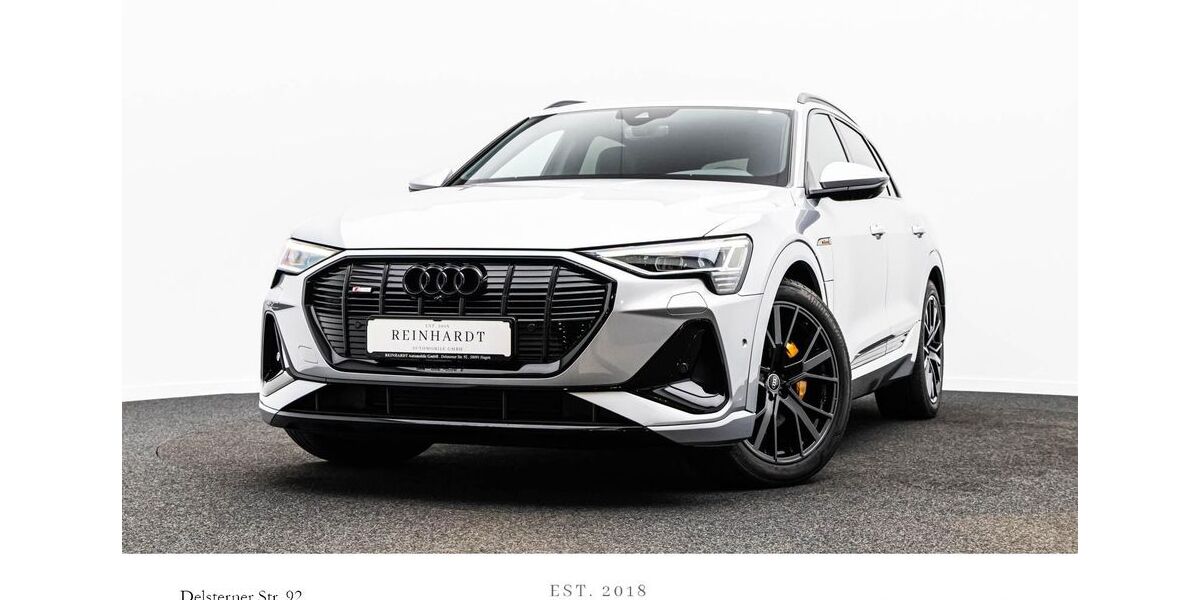 Audi e-tron 82.685 km 33.555 &euro; Hagen 58091
