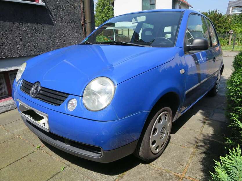 Lupo